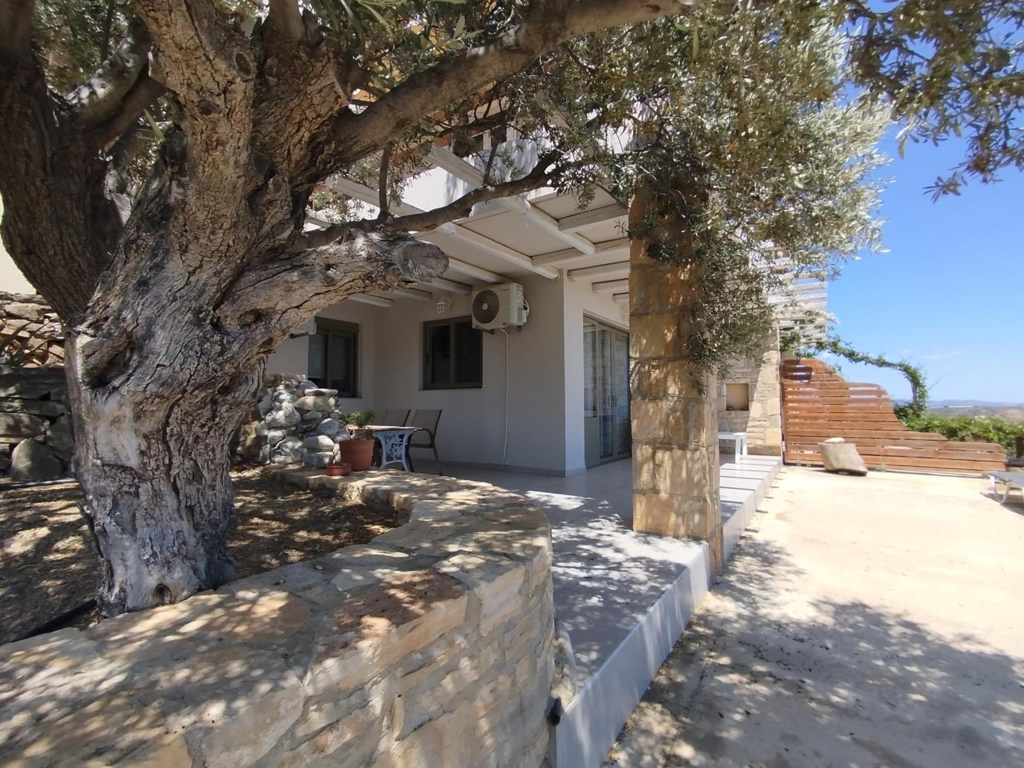 Alexena Apartments Agia Galini  Exterior photo